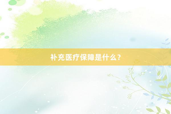补充医疗保障是什么？